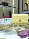 Wellow Bags - Chanel - Bags  - 404