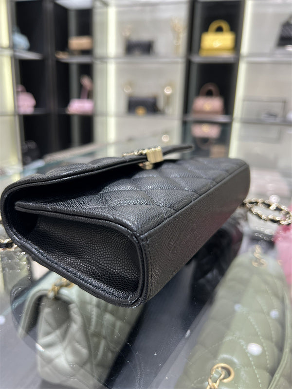 Amelia- CHL Bags - 097