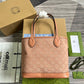 Amelia- GCI LUXURY LADY BAG - BRANDED BAGS FOR WOMEN - 081