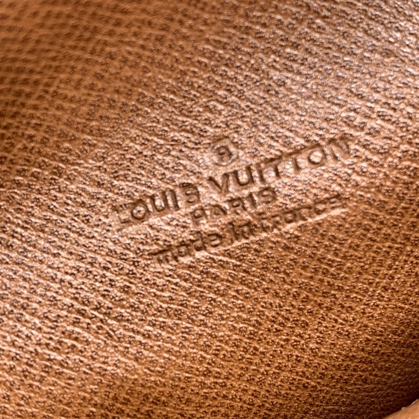LOUIS VUITTON   Monogram Canvas Amazone Pm Crossbody Bag
