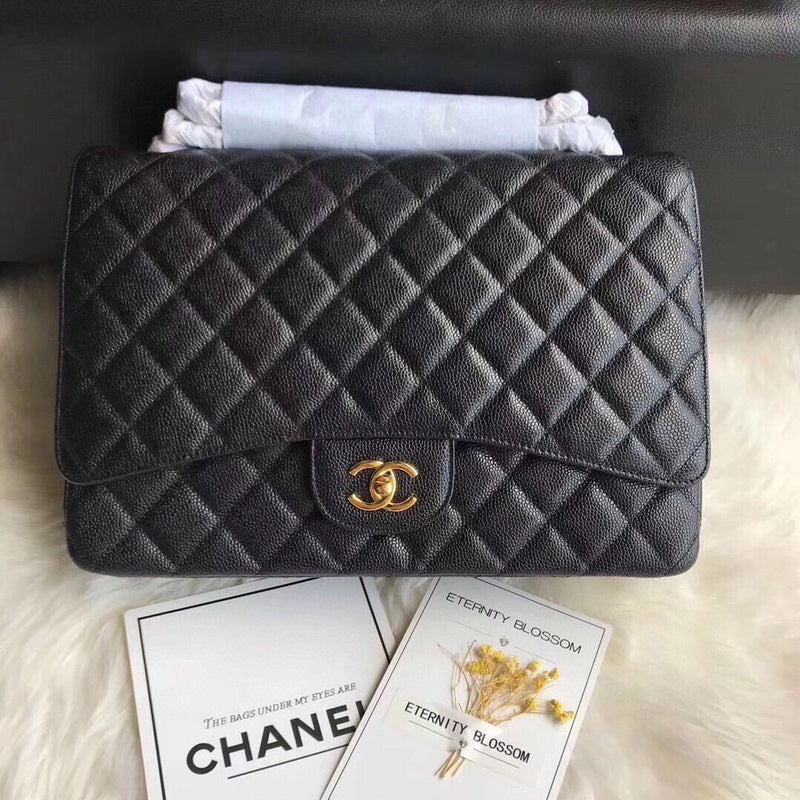 Amelia - CHL Bags - 2331