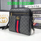 Amelia  - GCI Bags - 11120