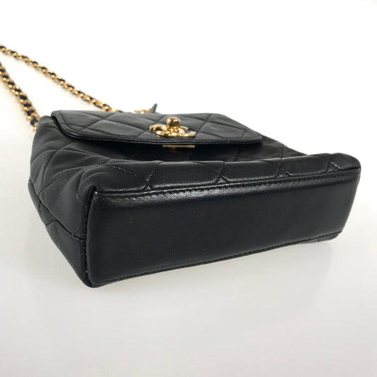 CHANEL Matelasse Waist pouch