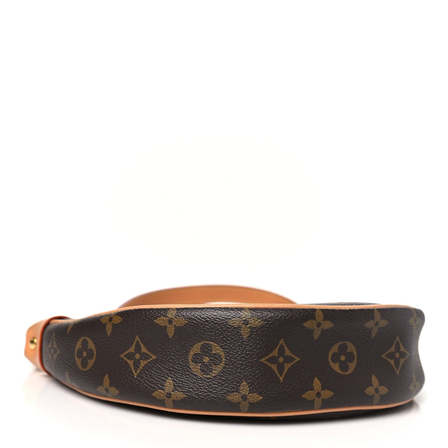 Louis Vuitton Monogram Loop