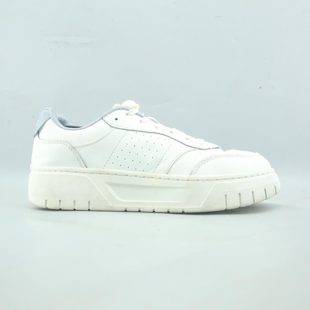 ANTA .