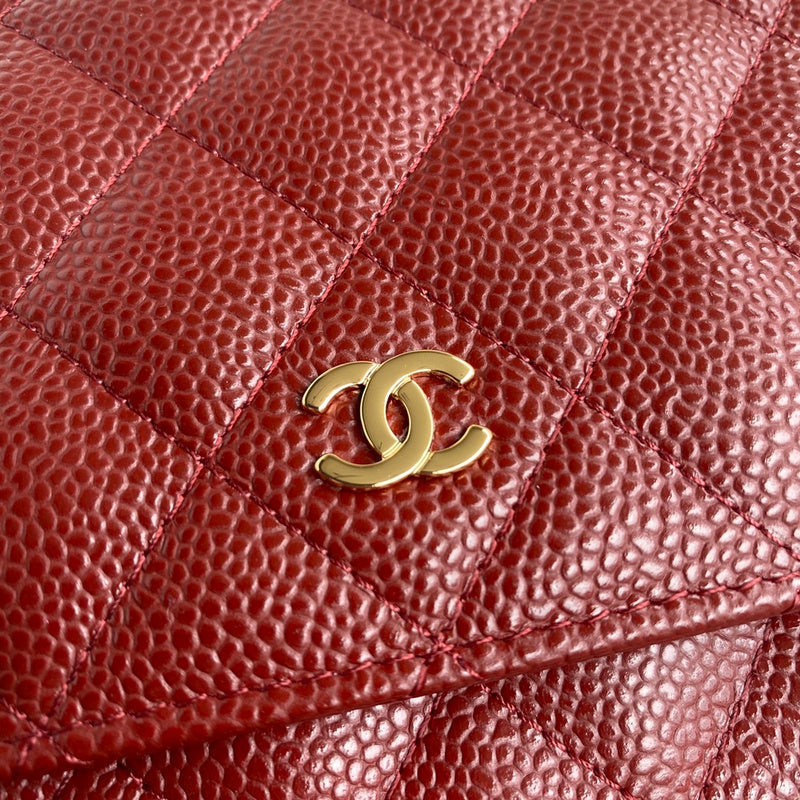 Amelia- CHL Bags - 6511