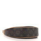 Louis Vuitton Monogram Loop