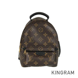 LOUIS VUITTON Monogram Palm Springs Backpack MINI M44873 Backpack