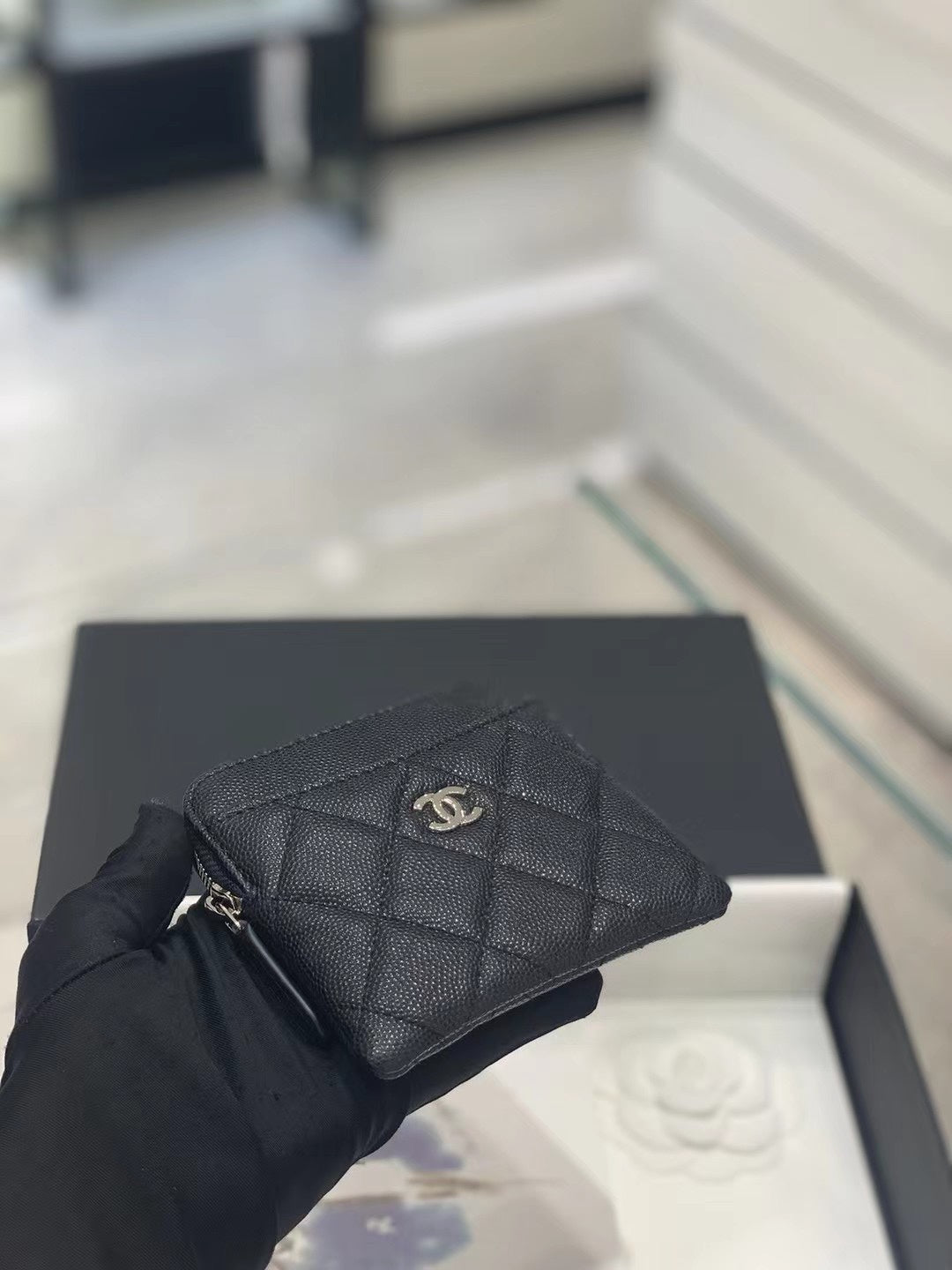 Amelia-- Amelia- Wallet Purse - CHL - 022