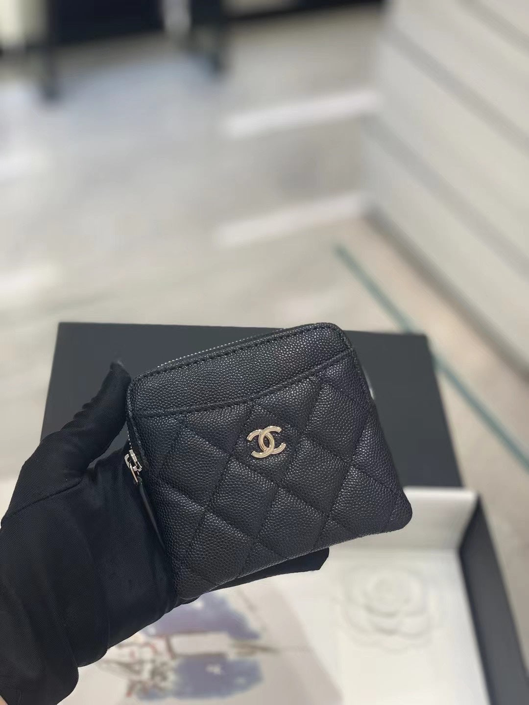Amelia-- Amelia- Wallet Purse - CHL - 022