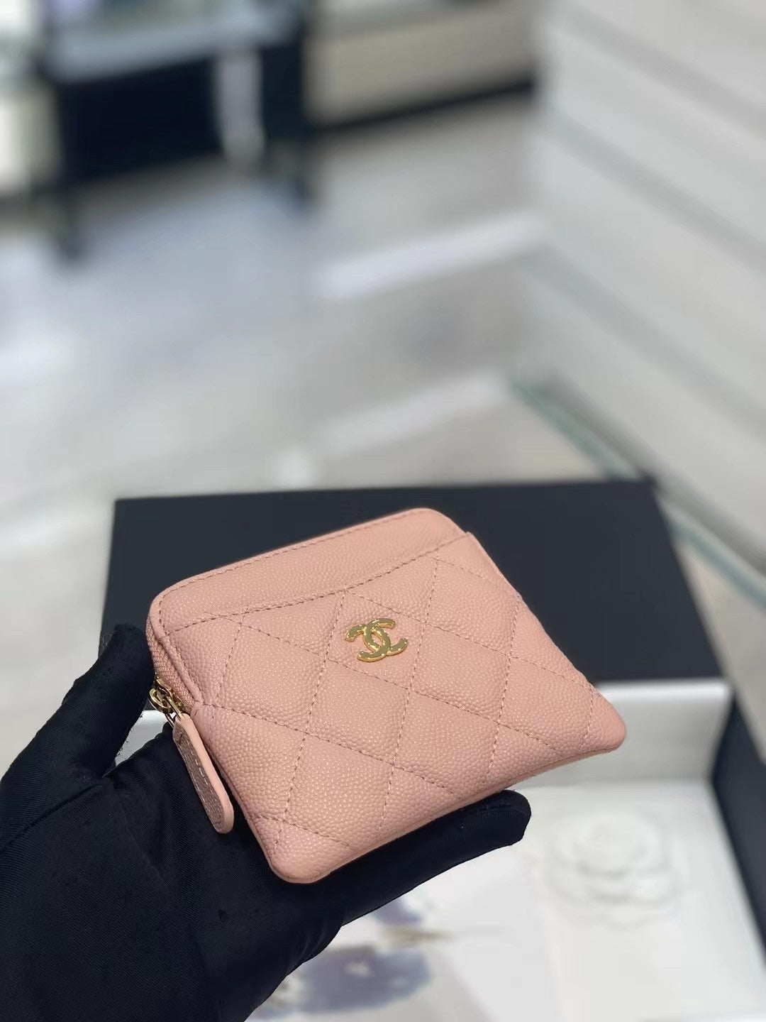 Amelia-- Amelia- Wallet Purse - CHL - 025