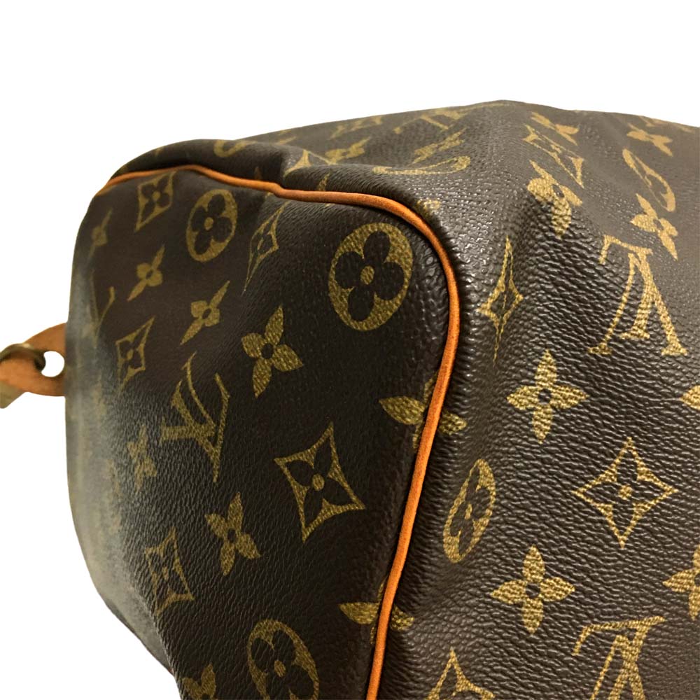 Louis Vuitton Monogram Leather Handbag