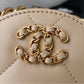 New Chanel woman crossbody/shoulder handbag