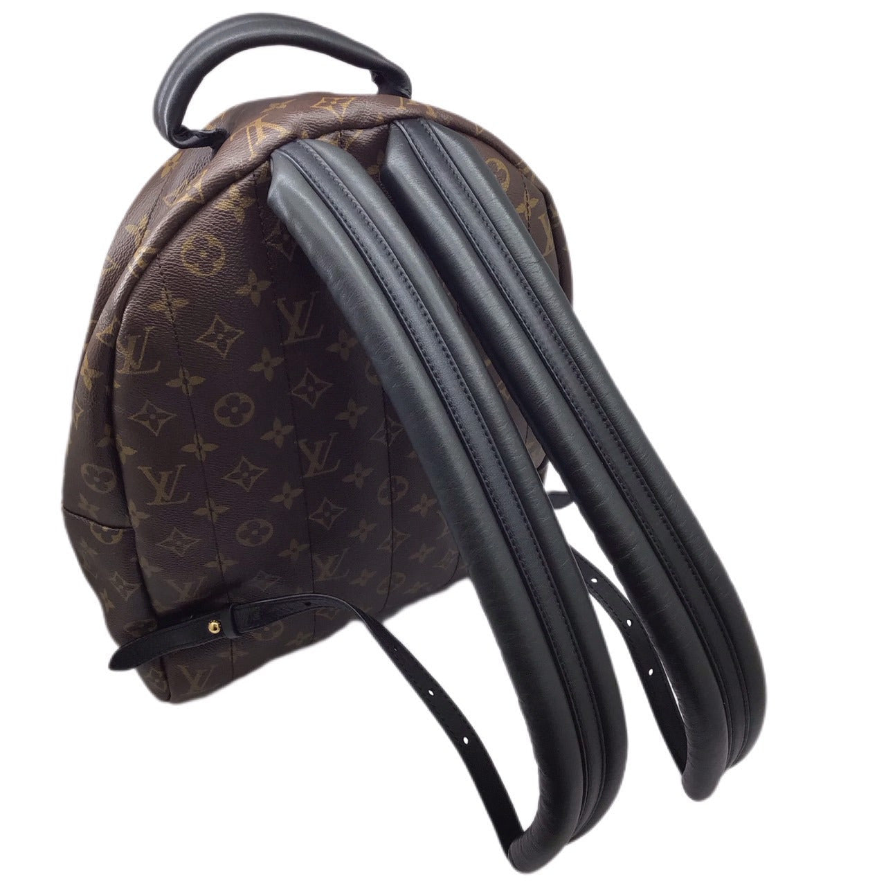 Louis Vuitton Monogram Palm Spring MM  Leather Canvas Backpack