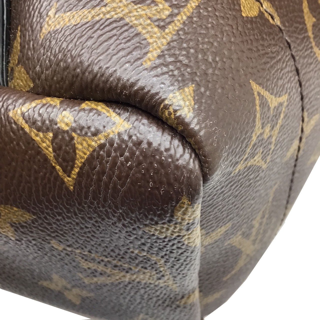 Louis Vuitton Monogram Palm Spring MM  Leather Canvas Backpack
