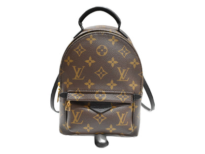 Louis Vuitton Palm Springs Backpack Mini Monogram