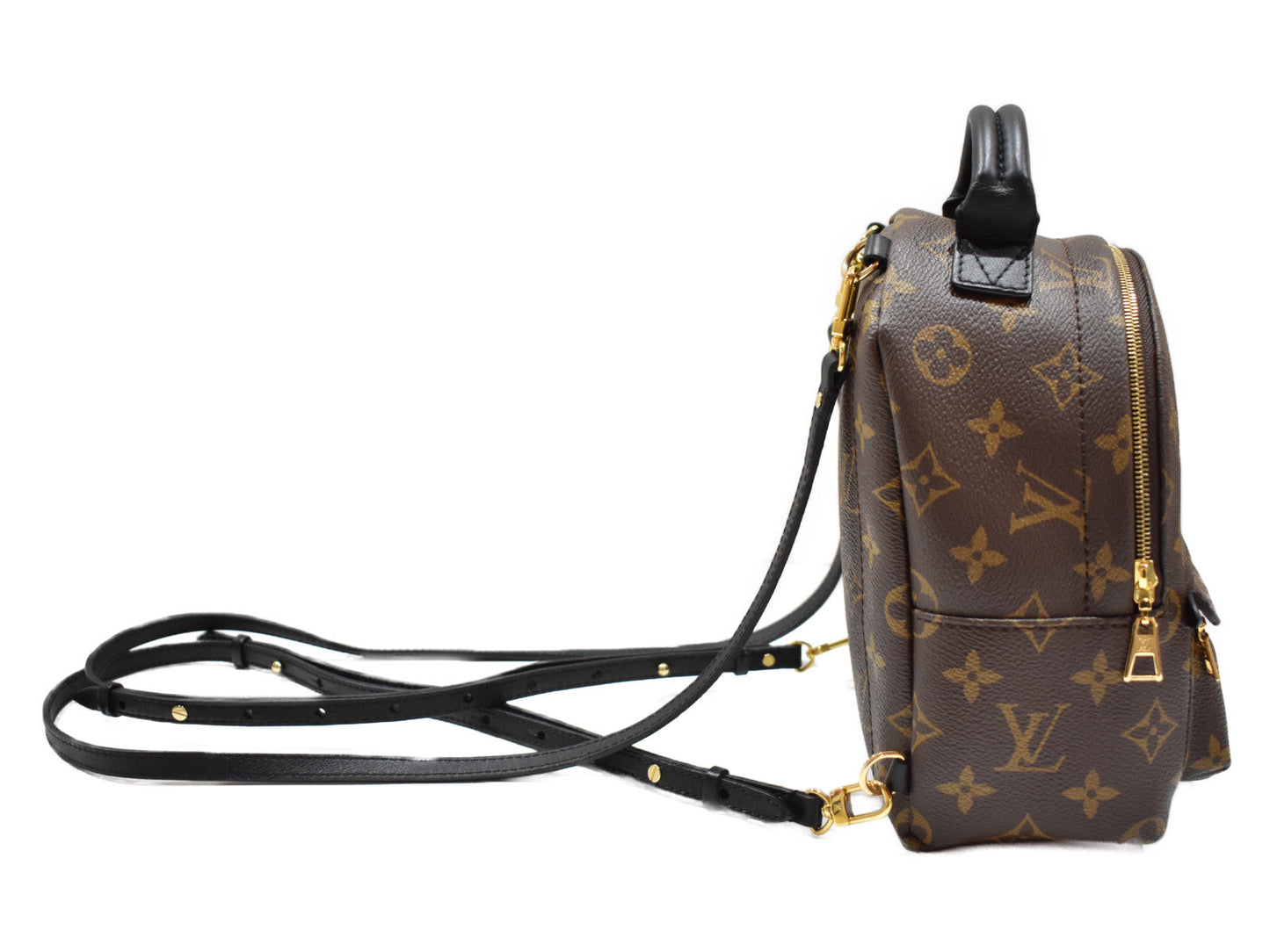 Louis Vuitton Palm Springs Backpack Mini Monogram