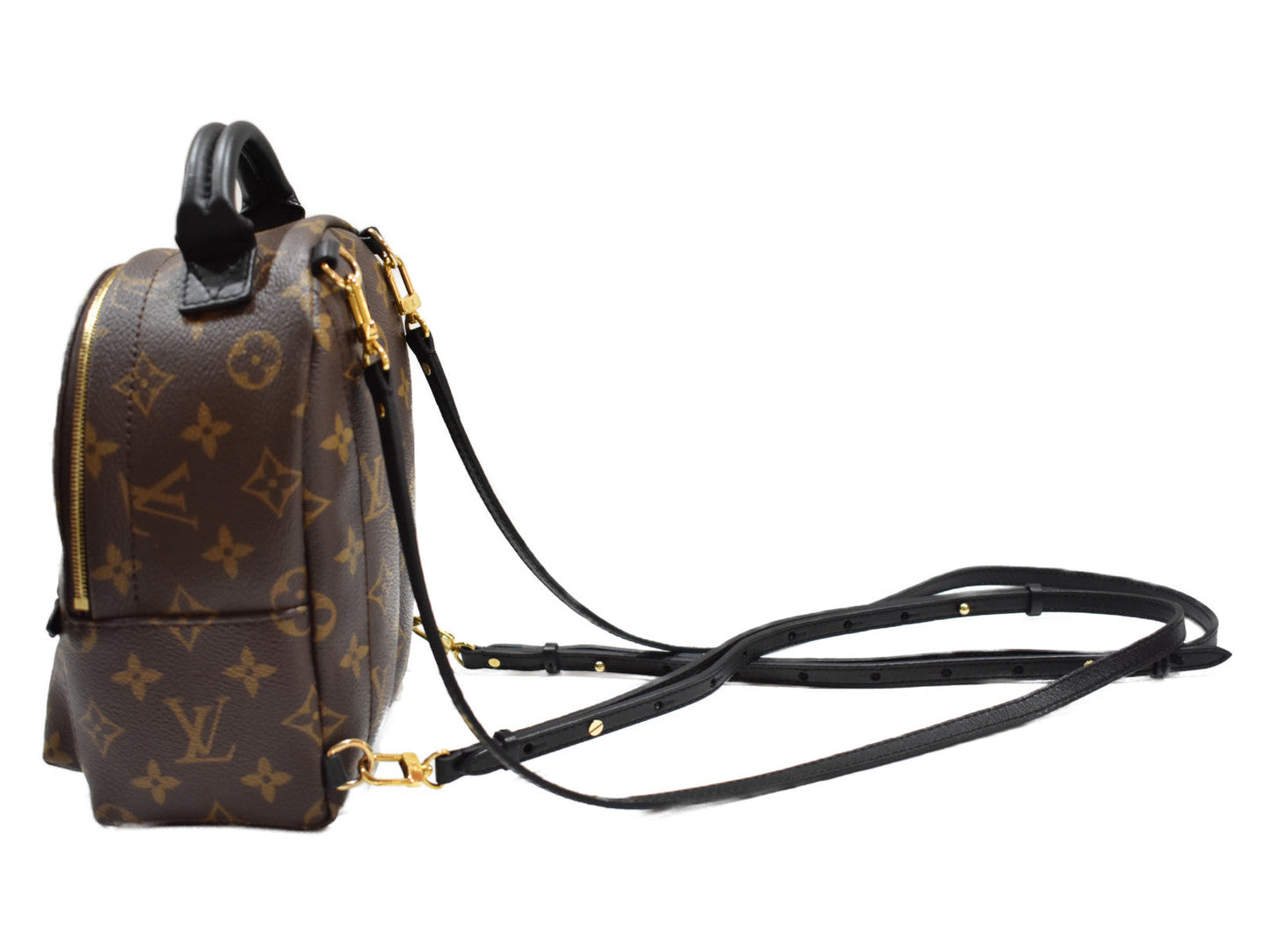 Louis Vuitton Palm Springs Backpack Mini Monogram