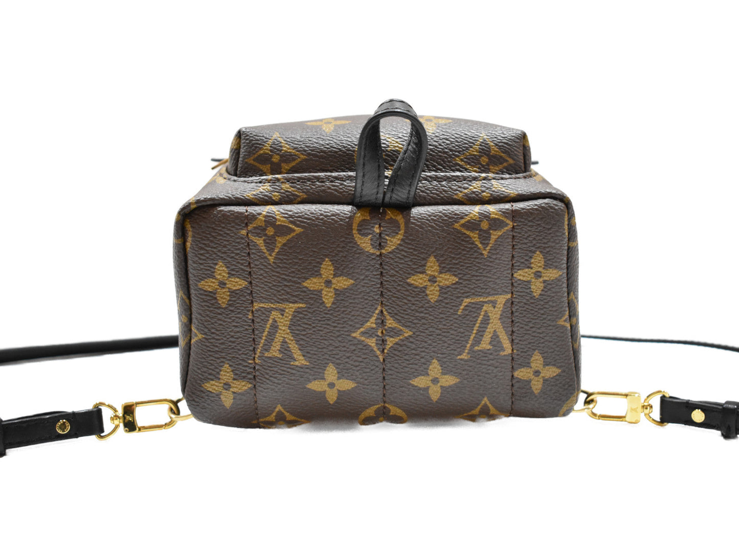 Louis Vuitton Palm Springs Backpack Mini Monogram