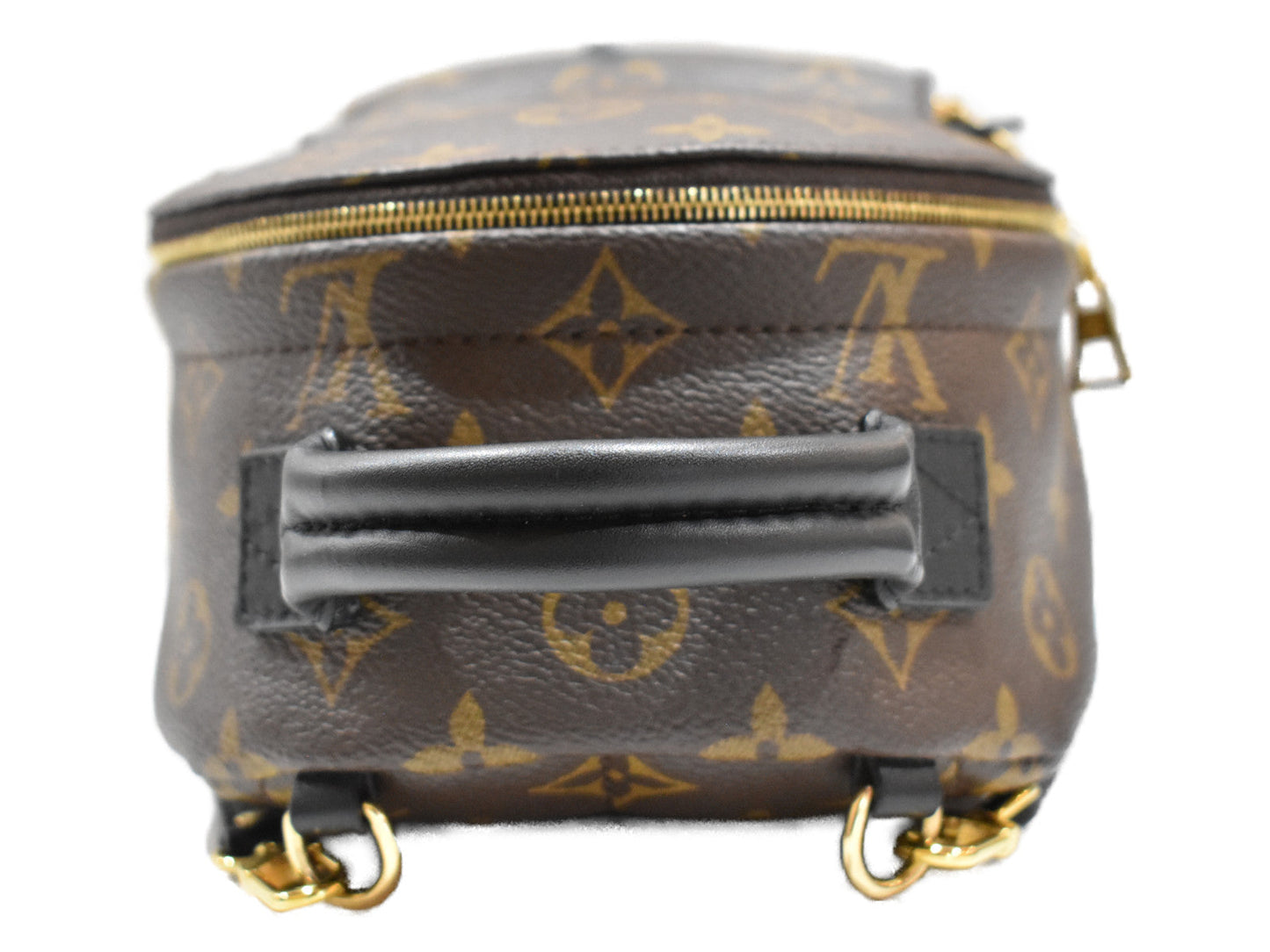 Louis Vuitton Palm Springs Backpack Mini Monogram