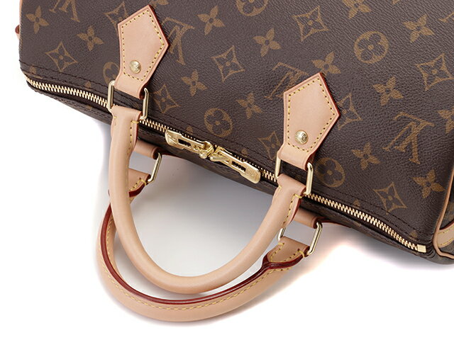 Louis Vuitton Speedy 30 Monogram Handbag