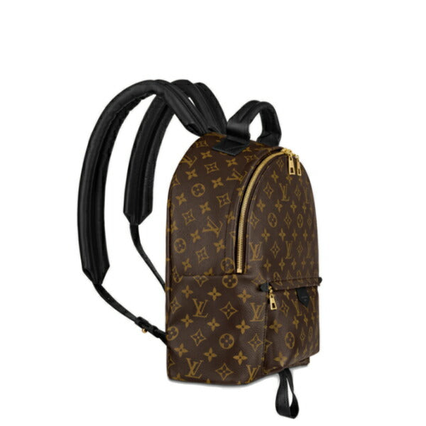 Louis Vuitton Palm Springs Monogram Backpack