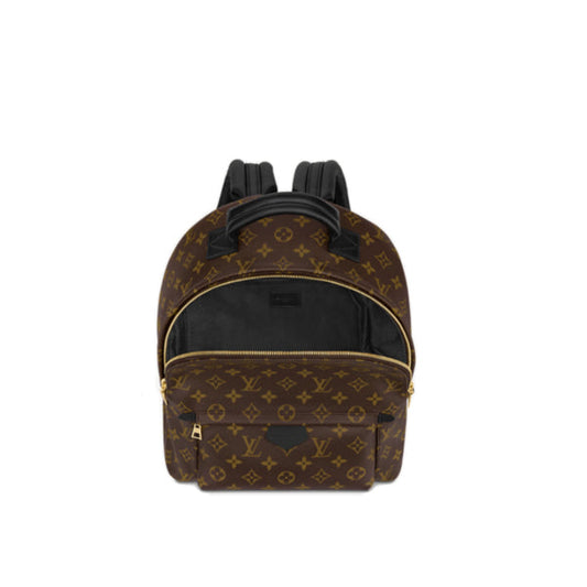 Louis Vuitton Palm Springs Monogram Backpack