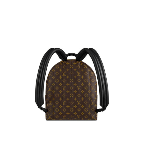 Louis Vuitton Palm Springs Monogram Backpack