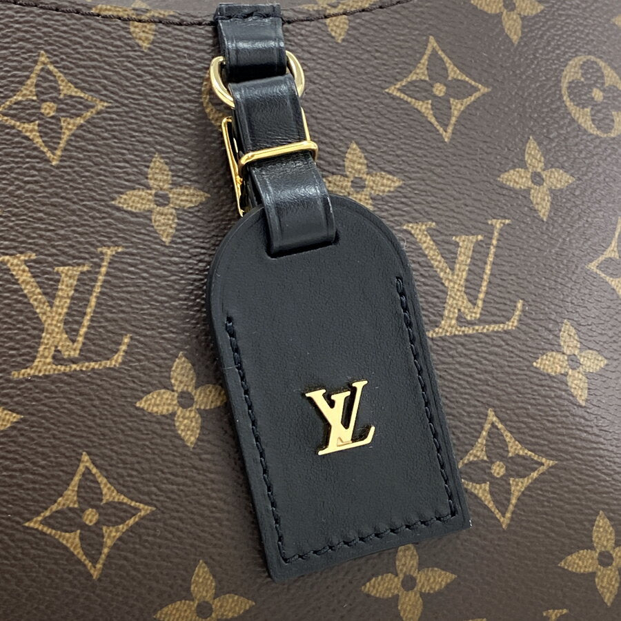 Louis Vuitton Crossbody Odeon NM PM Monogram Shoulder Bag