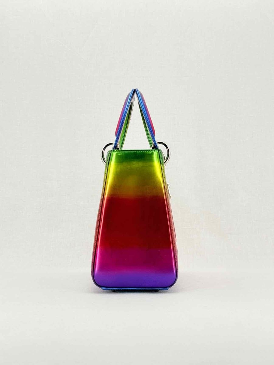 DIOR Limited Edition Multicolor Top Handle