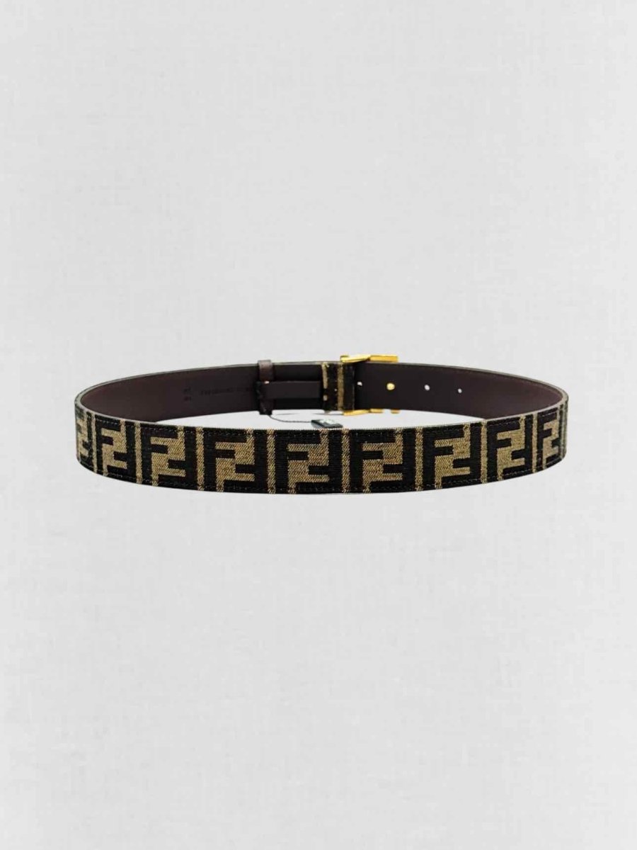 FENDI Brown Belt