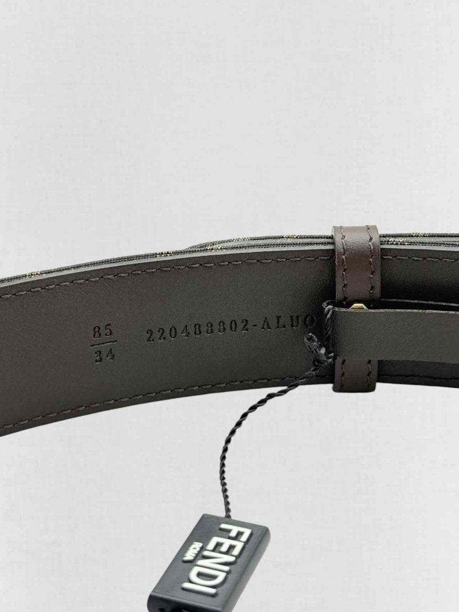 FENDI Brown Belt