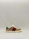 GUCCI Ace Beige Multicolor Size EU 36 Sneakers