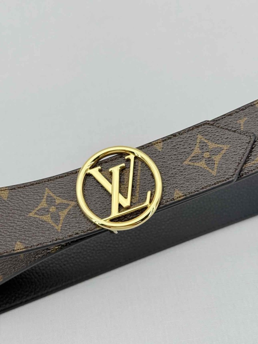 LOUIS VUITTON Brown Belt