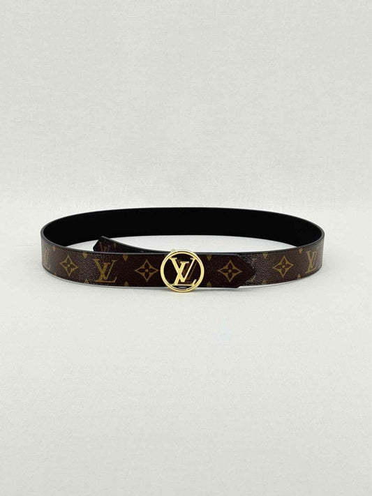 LOUIS VUITTON Brown Belt