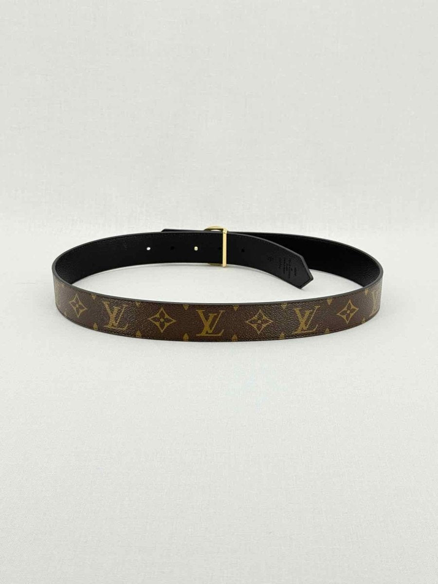 LOUIS VUITTON Brown Belt