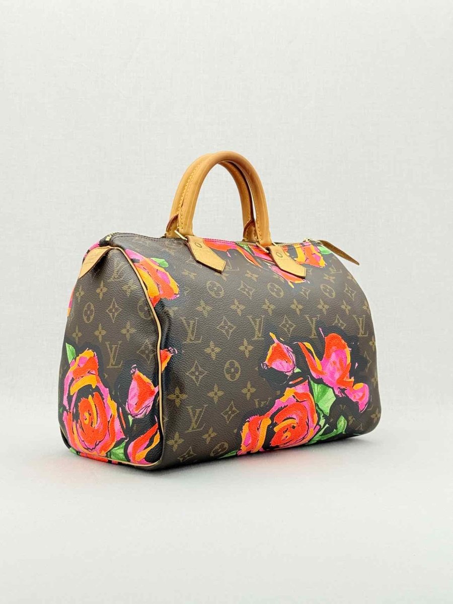 LOUIS VUITTON Speedy 30 Brown Multicolor Top Handle