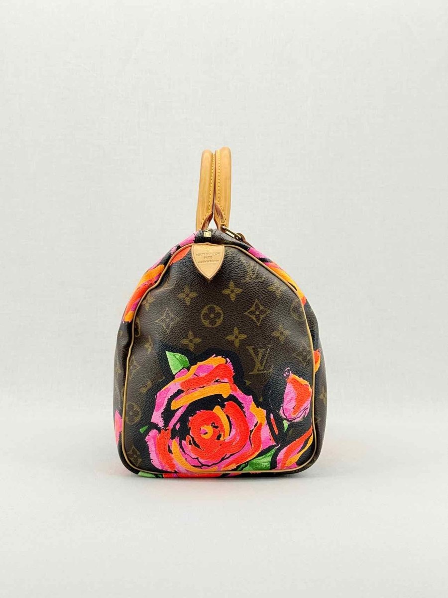 LOUIS VUITTON Speedy 30 Brown Multicolor Top Handle