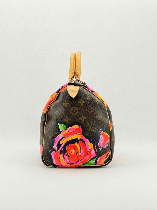 LOUIS VUITTON Speedy 30 Brown Multicolor Top Handle