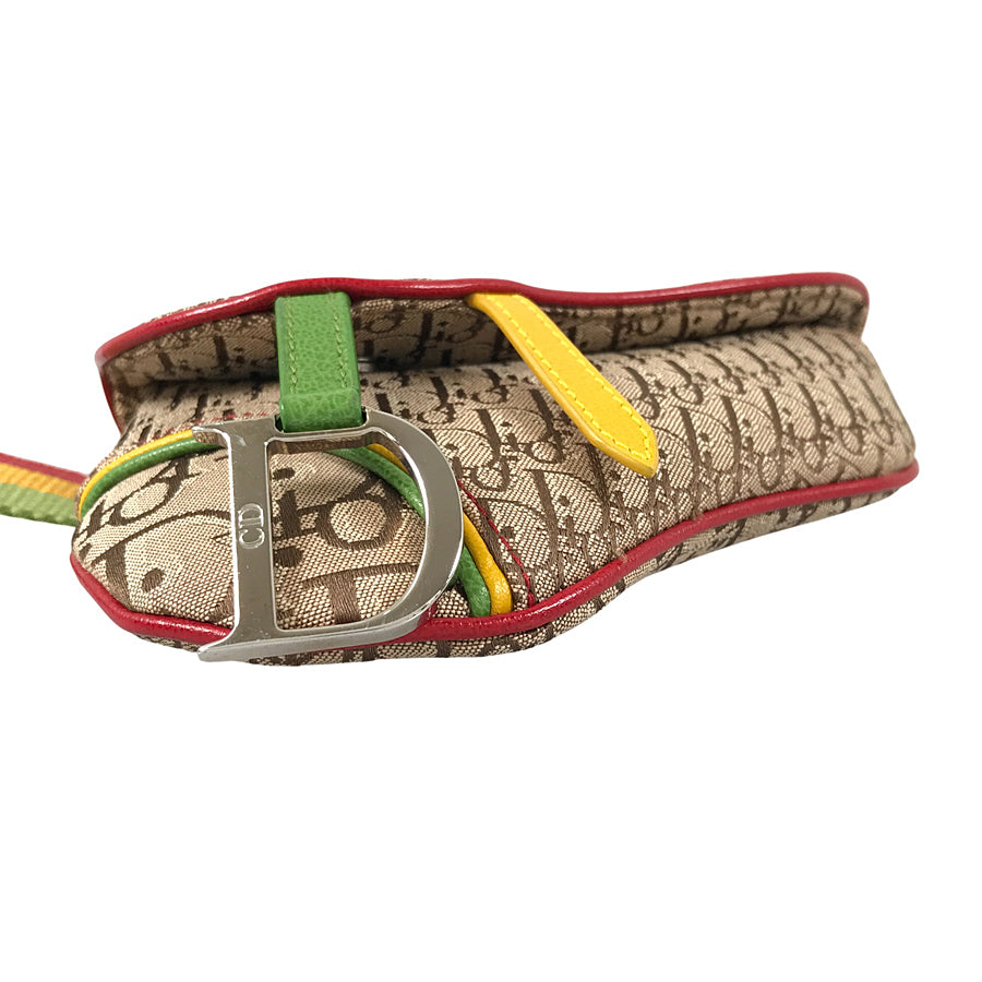 Dior Trotter Raster color 096BM0044 Waist pouch