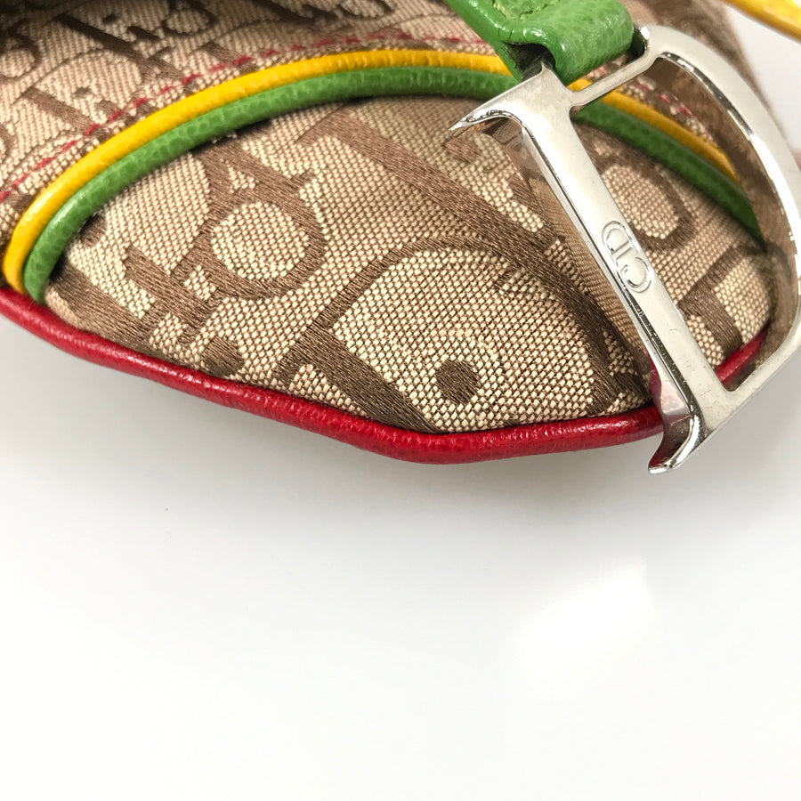 Dior Trotter Raster color 096BM0044 Waist pouch