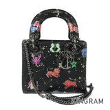 Dior Lady Dior mini Hand bag