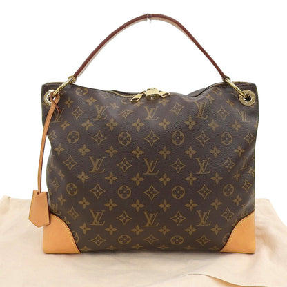 Louis Vuitton Monogram Berry PM One Shoulder Bag
