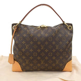 Louis Vuitton Monogram Berry PM One Shoulder Bag