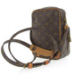 Louis Vuitton Monogram Amazon Shoulder Bag