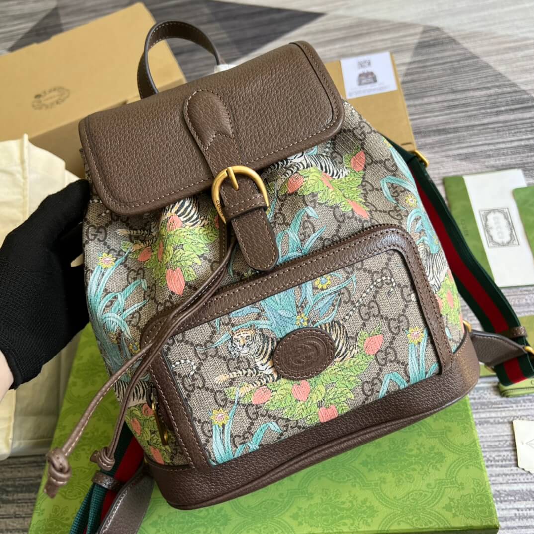 GC674147 backpack brown
